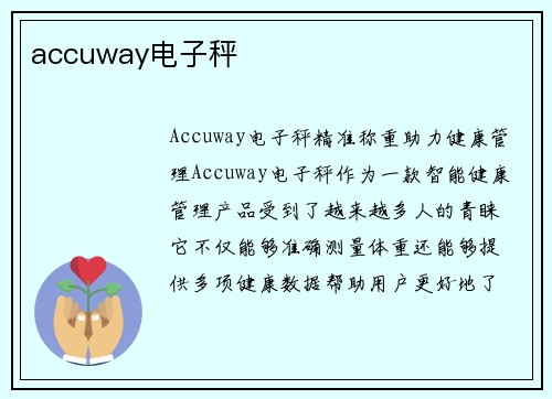 accuway电子秤